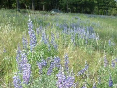 Summer and Winter: Like Two Different Planets Image